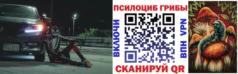Галлюциногенные грибы мицелий  Новоалександровск 