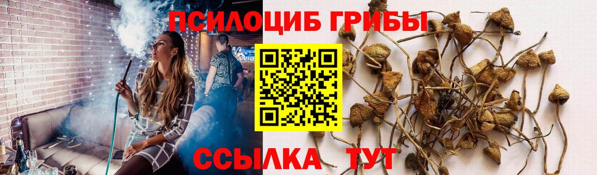 Псилоцибиновые грибы MAGIC MUSHROOMS  продажа наркотиков  Новоалександровск  Вход с VPN 